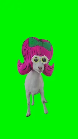 Funny Goat Meme