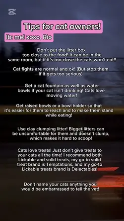 Cat owner tips 