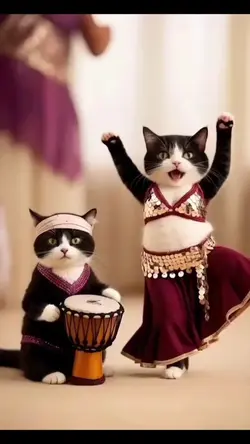 Funny cat dancing