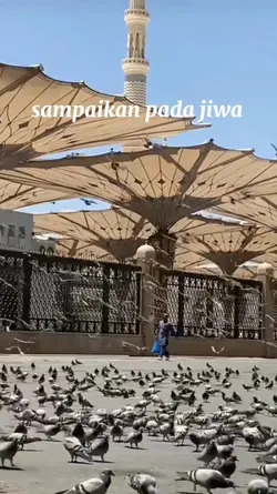 Jiwa yang bersedih 