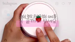 브이즈 1친 추모