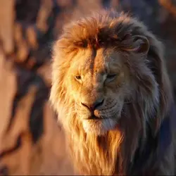 The lion king 