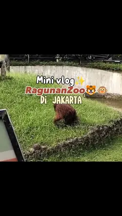 Mini Vlog ke ragunan