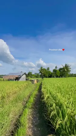 farm videos 