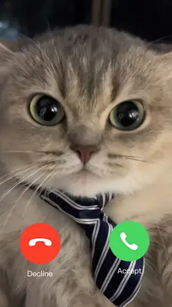 on call!