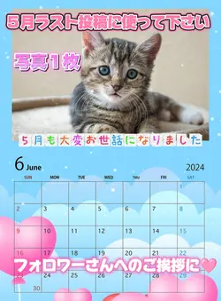 5月ラスト投稿用に