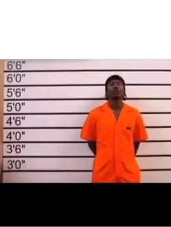 Mugshot meme