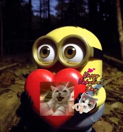 valentine's day