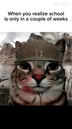 meme