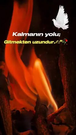 Yeni Şablon geldi 