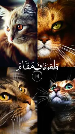 surah rehman