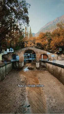 Naz û
