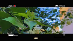 Mẫu chill