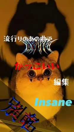 📷￤3枚   🎧￤Insane
