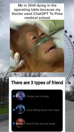 Memes