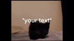 cat explode