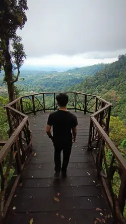 see you again