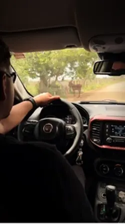 Meu carro novo