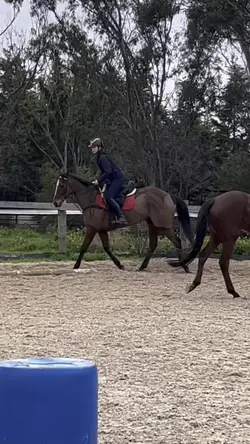 Such a good lesson!!