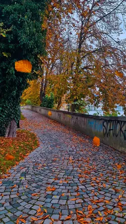 autumn