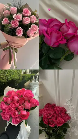pembe gül