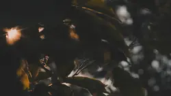 8 CLIP'S CINEMATIC 