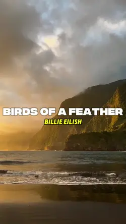 Birds of a Feather
