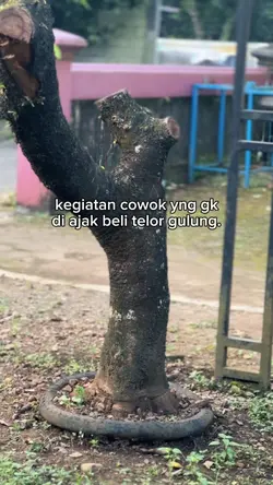 TELU GULUNg