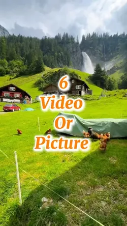 6 video or picture 