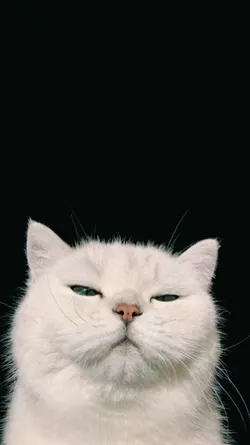 Aesthetic