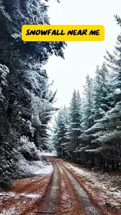 Snowfall 