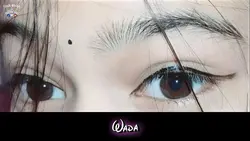 চোখের ভিডিও 
