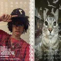 meoww