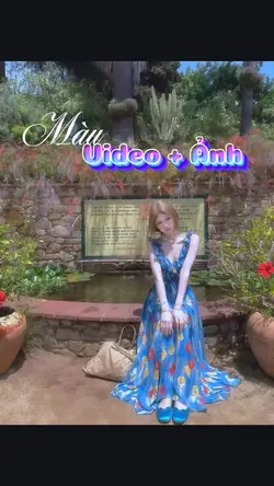 Video + ảnh