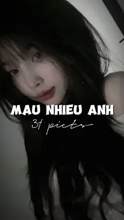 MẪU BEAT CUỐN 31 ẢNH