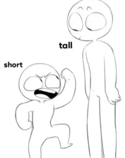 New template 