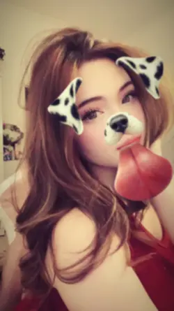 sticker dog