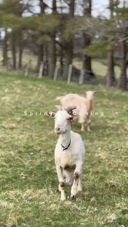 Spring is Coming