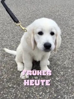 früher vs heute 