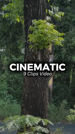 9 Clips Video