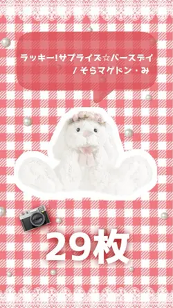 📷29枚´-