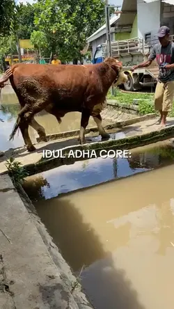 Idul adha core