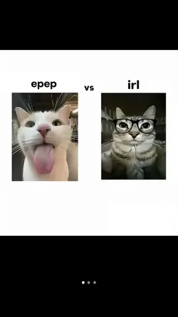 epep vs irl