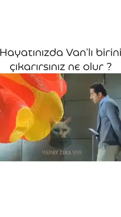 Van hayat 