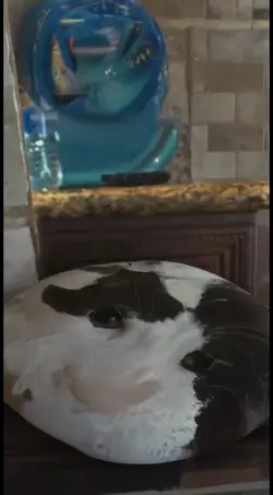 Melting filter
