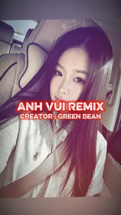 Anh Vui Remix