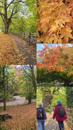 Autumn