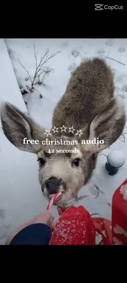 christmas music