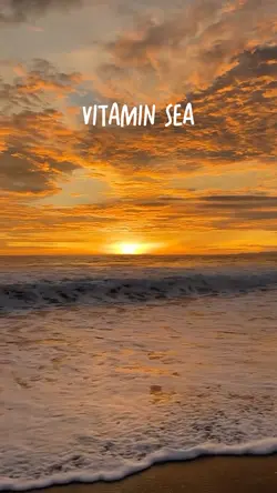 vitamin Sea vlog