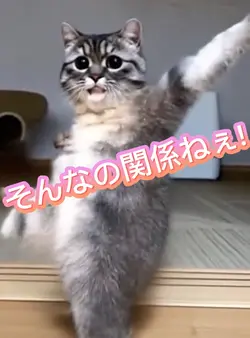 そんなの関係ねぇ
